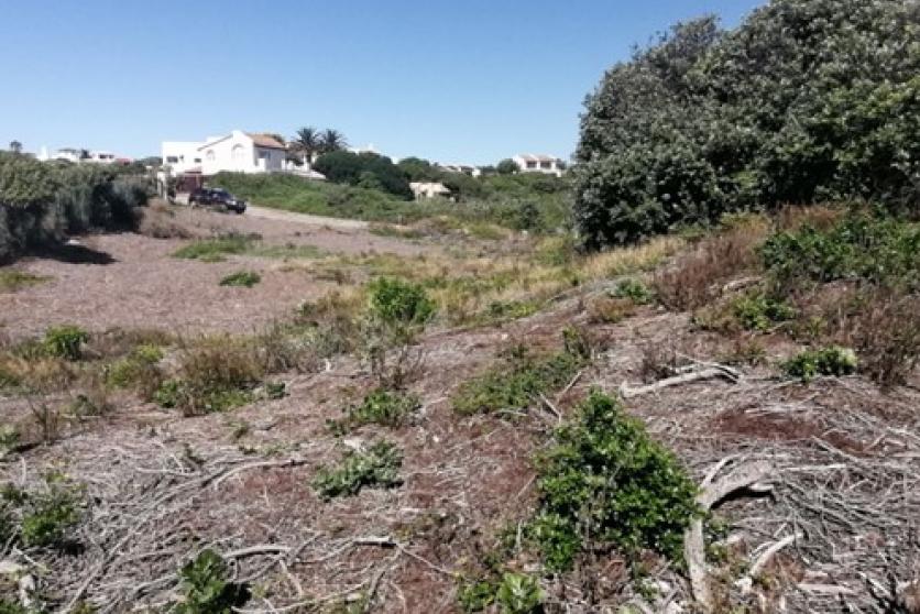 Unlawful clearance of more than 300 square metres of indigenous vegetation.